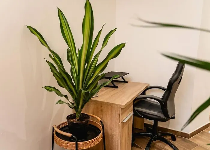 Apartment Luxurious & Stylish Penthouse With Private Pool *